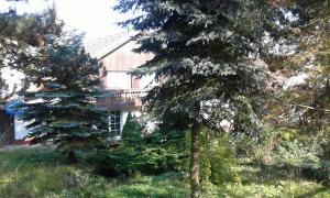Prodej rodinného domu s velkou zahradou v Kožlanech - 5 km od Kralovic