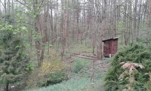 Prodej rekreační chaty v krásném prostředí lesa - Plzeň-jih