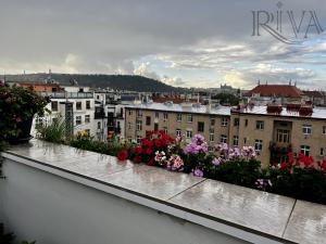 Prodej mezonetového bytu v Praze 